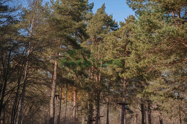 2-к квартира, 45 кв.м. (№14546)