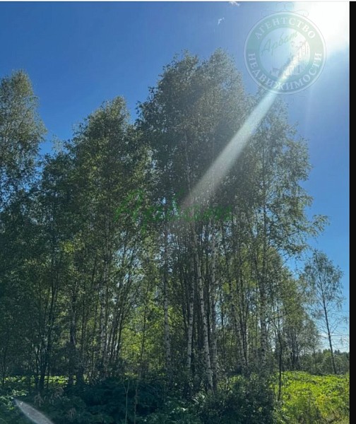 Участок , 100 сот., Городня с