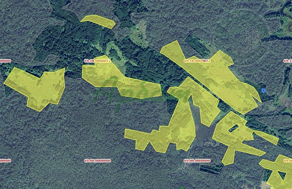 Участок , 62837 сот. (№14167)