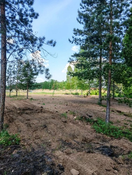 Участок , 16 сот. (№14911)