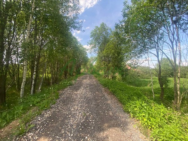 Дом, 47 кв.м. (№14964)