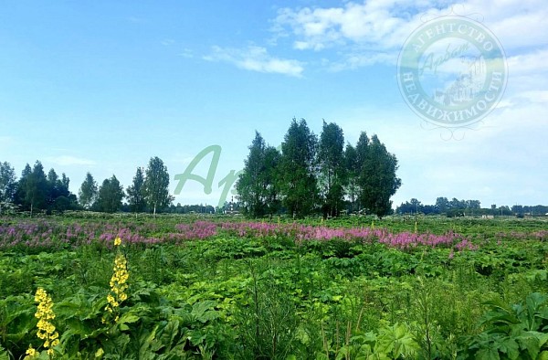 Участок , 26 сот. (№14394)