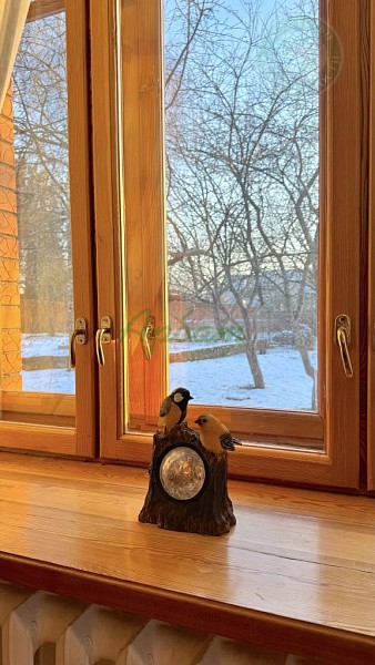 Дом, 260 кв.м. (№14417)